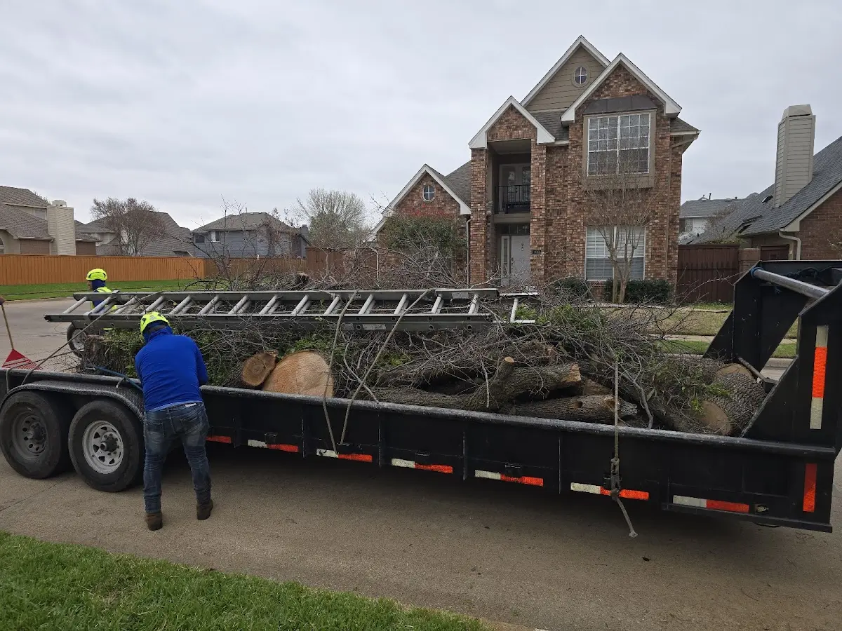 Expert Lot Clearing with proper safety equipment in Sistersville